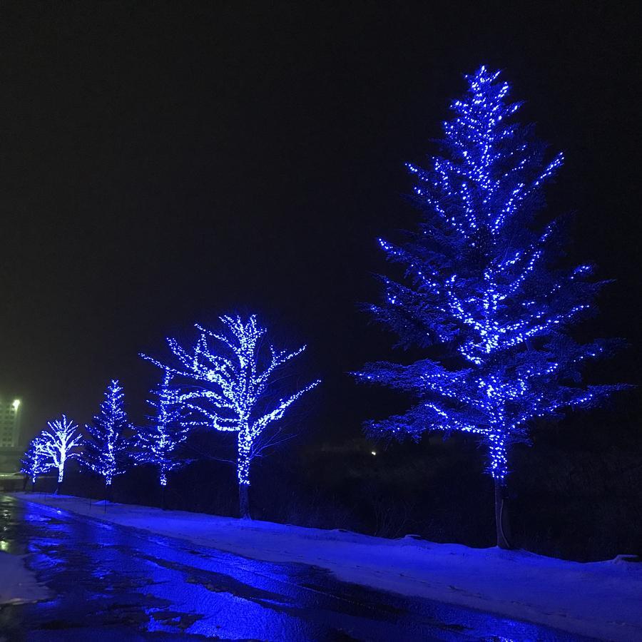 Hotel Naeba La Neige Yuzawa  Exterior foto